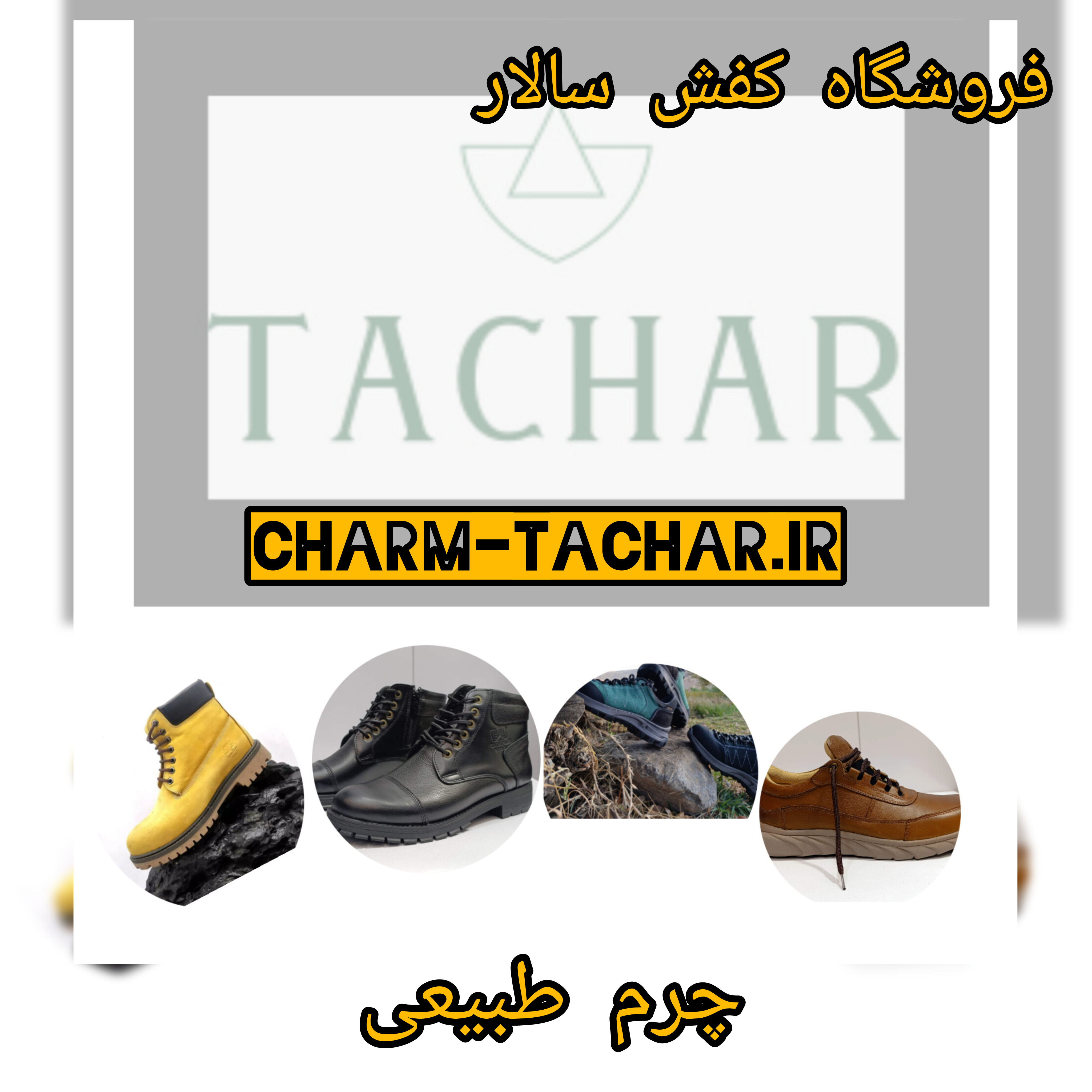 feature-image